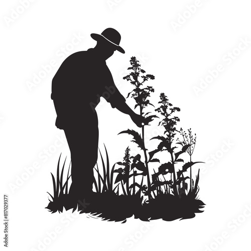 Silhouette of man gardening gardener isolated on white background man with plants flower care houseplants farmer man with a plant gardener	