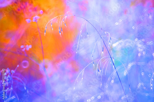 Ethereal Floral Display in Vivid Colors photo