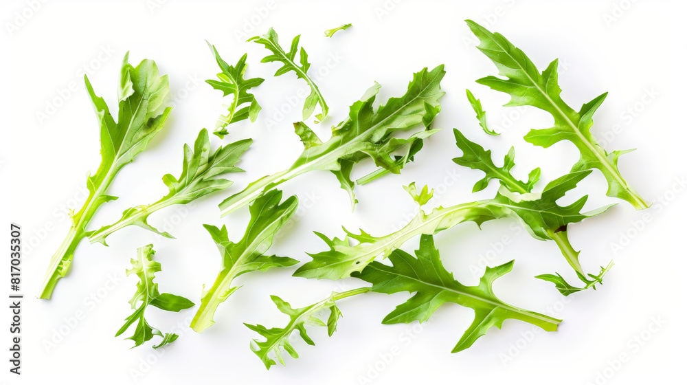 fresh green parsley on white background, isolated fresh green parsley on white background, isolated