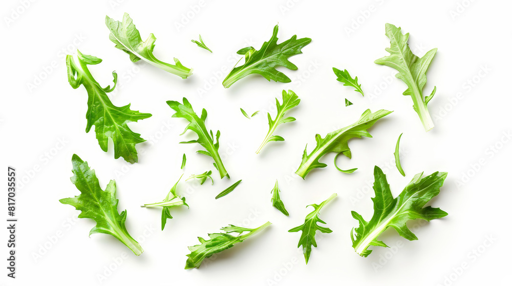 fresh green parsley on white background, isolated fresh green parsley on white background, isolated