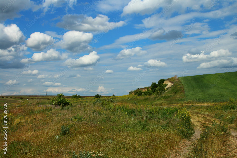 Obraz premium A grassy hill with a blue sky