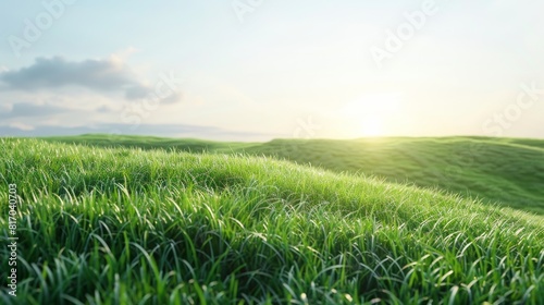 Transparent 3D grass on a detailed grassy hill  with a panoramic view of an open field and a bright  cloudless sky  showcasing environmental harmony