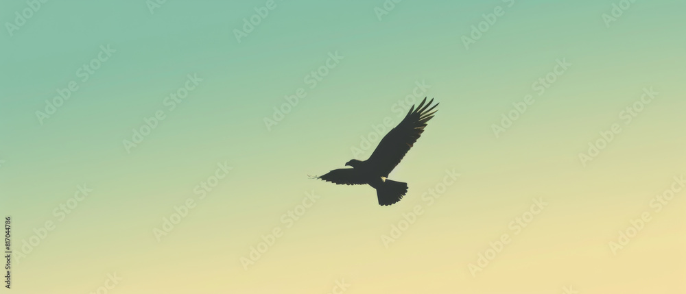 A minimalist bird is flying in the sky with a blue background A minimalist bird is flying in the sky with a blue background