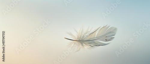 A minimalist feather is floating in the air