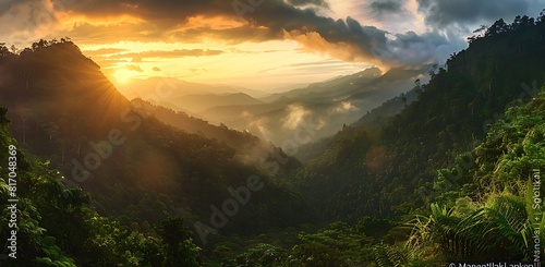 Beautiful mountain landscape with lush greenery and misty valley at sunrise in Kandy, 