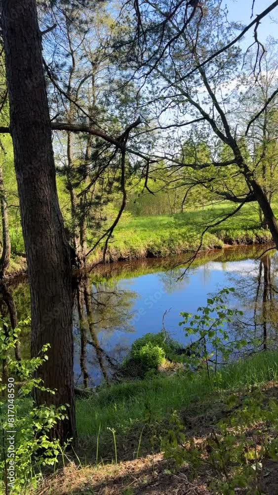 River in forest, wild scenery. Water supply. Small river in forest. Wildlife Refuge Wetland Restoration. Green Nature Scenery. Zigzag River in Wildlife. Freshwater Ecosystem. Forest Landscape River in forest, wild scenery. Water supply. Small river in forest. Wildlife Refuge Wetland Restoration. Green Nature Scenery. Zigzag River in Wildlife. Freshwater Ecosystem. Forest Landscape