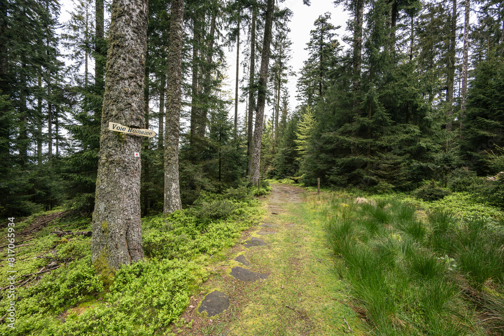 Römische Straße in den Vogesen. Entstehung Ende des 1. Jh. vor Christus. Wahrscheinlich Verbindung vom Donon nach Metz. Römische Straße in den Vogesen. Entstehung Ende des 1. Jh. vor Christus. Wahrscheinlich Verbindung vom Donon nach Metz.