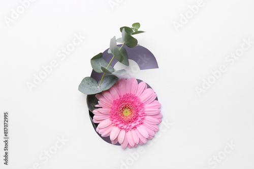 Number 6 shape hole in white paper with beautiful flower and eucalyptus branch, top view photo