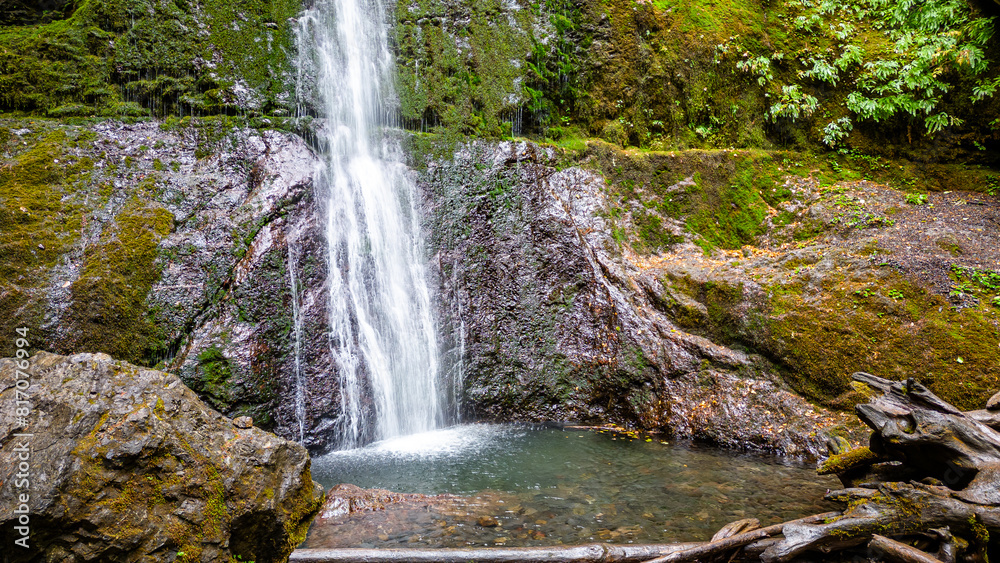 Obraz premium waterfall in the forest