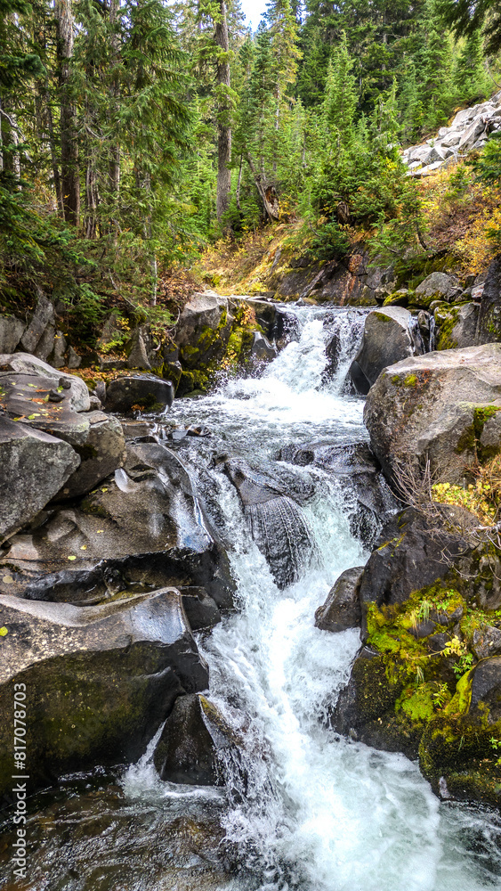 Obraz premium waterfall in the forest