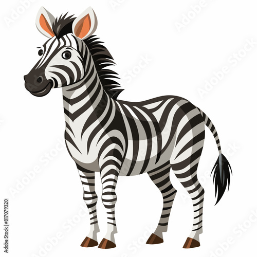 zebra isolated on white background
