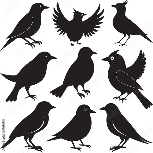 set of  bird silhouette illustration. isolated on white background
