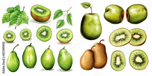 Watercolor set of kiwi fruit set. Hand drawn isolated on transparent background.