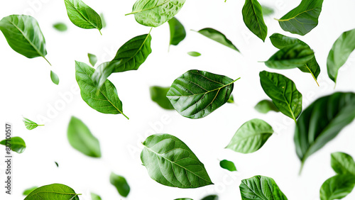 Green leaves flying in the air isolated on transparent background.