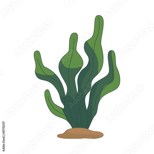 Algae icon isolated on white background. Vector illustration