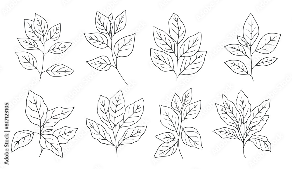 Set of branch and leaves vector Set of branch and leaves vector