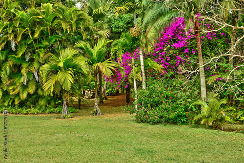 africa, colonial eureka house in moka