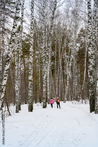 Mother and daughter go skiing in the birch forest in winter