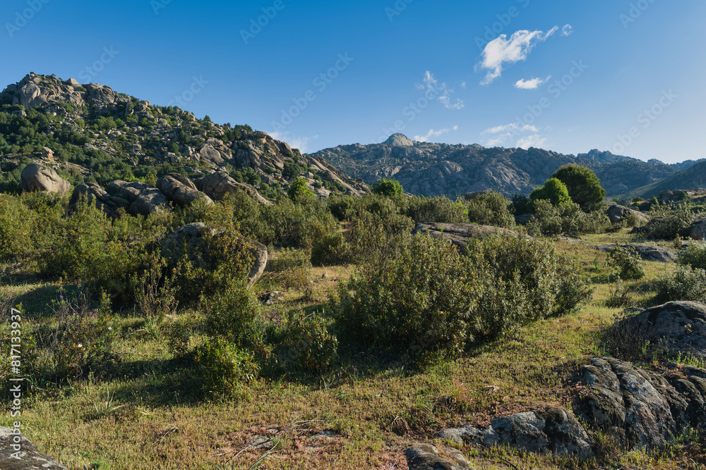 Naklejka premium mountains, landscape, view, nature, plants, spring, sunny, flora