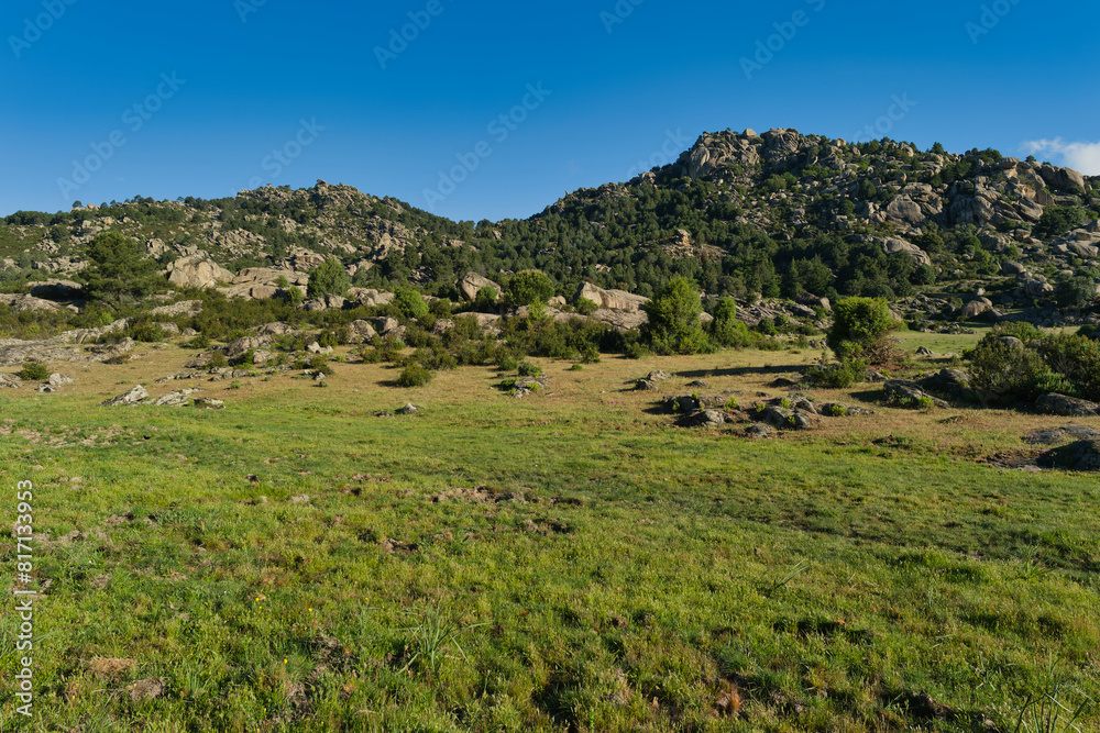 mountains, landscape, view, nature, plants, spring, sunny, flora mountains, landscape, view, nature, plants, spring, sunny, flora