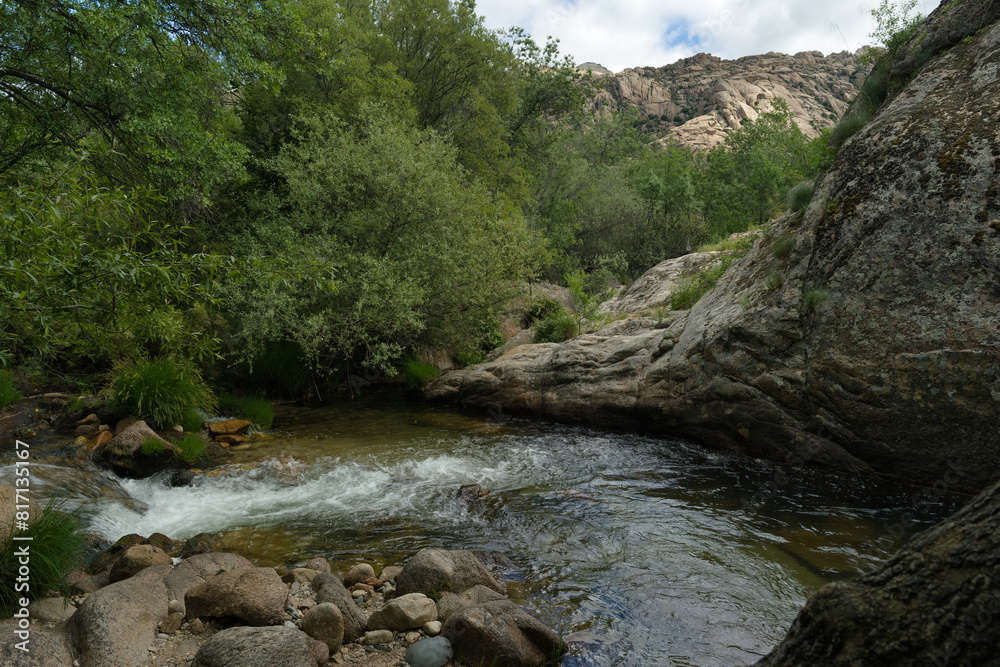 Fototapeta premium landscape, spring, view, river, plants, nature, water, transpare