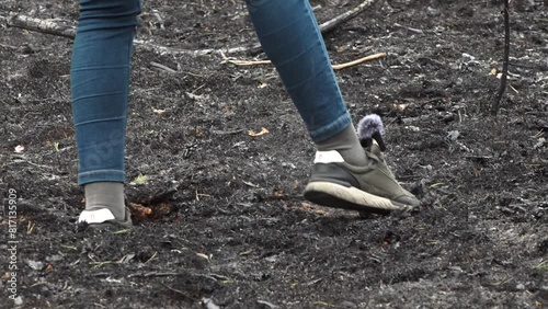 Valka, Latvia - May, 13, 2024 - Person walking through charred forest terrain, stirring ash and dust with boots. photo