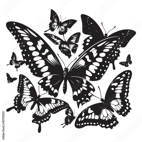 Black and White Butterfly Silhouette  Artistic Butterfly Silhouette  Elegant Butterfly Silhouette  Butterfly Silhouette Art