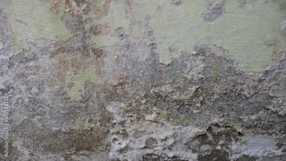 Mold, mould, mildew or fungus on the wall in an interior room. Mold, mould, mildew or fungus on the wall in an interior room.