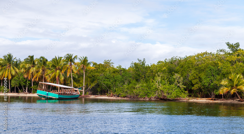Fototapeta premium Coastal landscape with palm trees and abandoned ship
