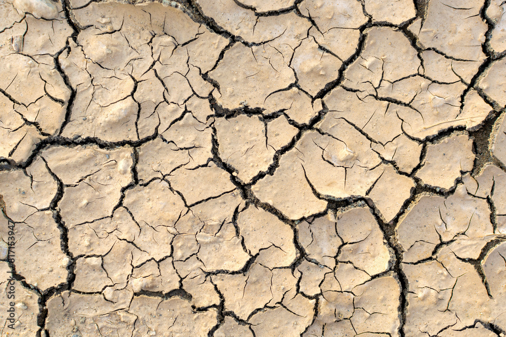 Destroyed dehydrated dry ground surface with cracks, desert parched barren soil close-up, top view. Lifeless environment, drought concept. Destroyed dehydrated dry ground surface with cracks, desert parched barren soil close-up, top view. Lifeless environment, drought concept.