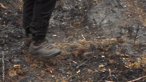 Valka, Latvia - May, 13, 2024 - Person walking through charred forest terrain, stirring ash and dust with boots. photo