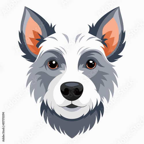 The dog breed with gray and white fur and orange ears is gazing into the camera