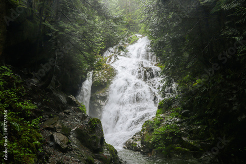 Waterfall in forest