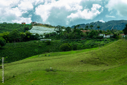 Coffee farm in the majestic Andes Mountains around Jerico  Jeric    Antioquia  Colombia. Fields  banana trees. Green landscape  cloudy sky.