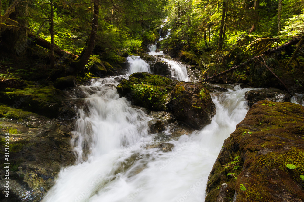 Waterfall in forest Waterfall in forest