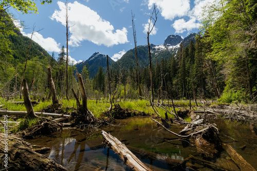 Marsh with mountains