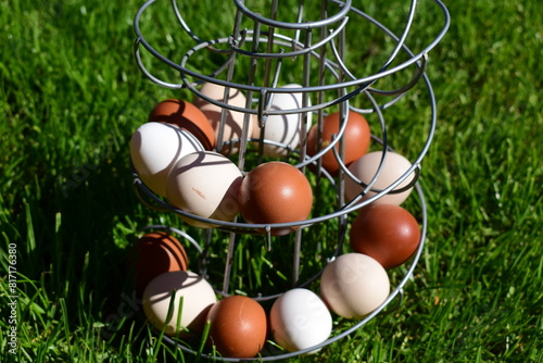 verschiedenfarbige Eier aus der ökologischen Landwirtschaft in der Eierspirale auf grünem Gras