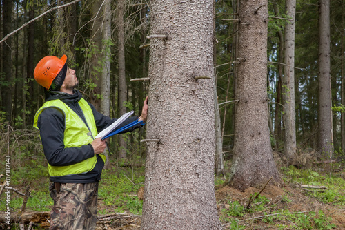Tableau sur toile A male ecologist works in the forest
