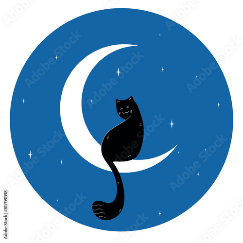 Cute black cat sitting on a crescent on blue night sky background. Vector illustration