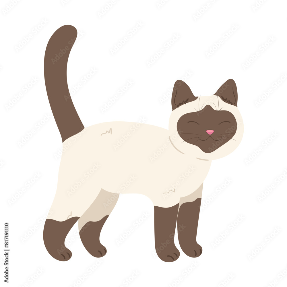Cute hand drawn Siamese cat. Cartoon cat standing. Vector illustration