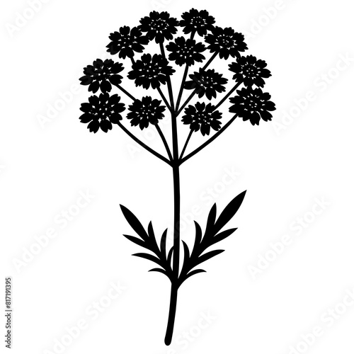 set of silhouettes of plants