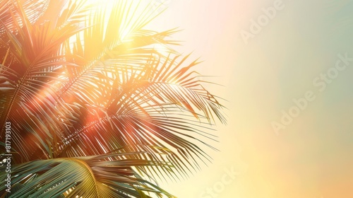 Sunlit Palm Tree © Rene Grycner