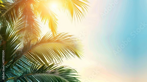 Tropical Background With Palm Trees and Sun