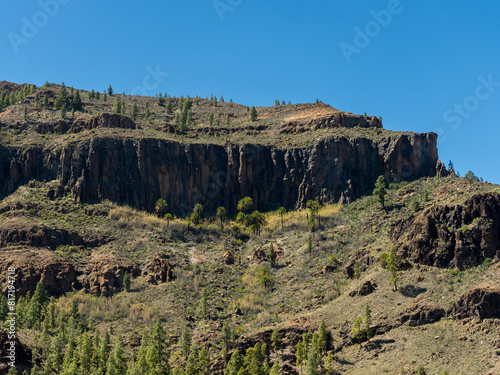 View of oasis with group of palm trees in the area of Fataga