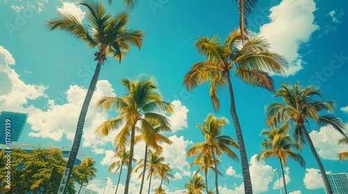 Elegant palm trees arching towards the vibrant blue sky at Miami Beach  selective focus on tropical allure  concept of serene landscapes  realistic  Overlay  coastal city backdrop