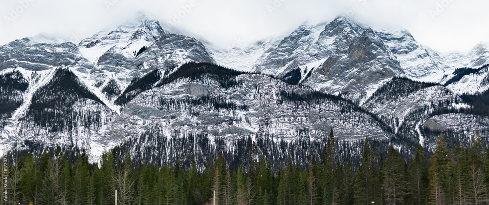 Fototapeta premium landscape with snow