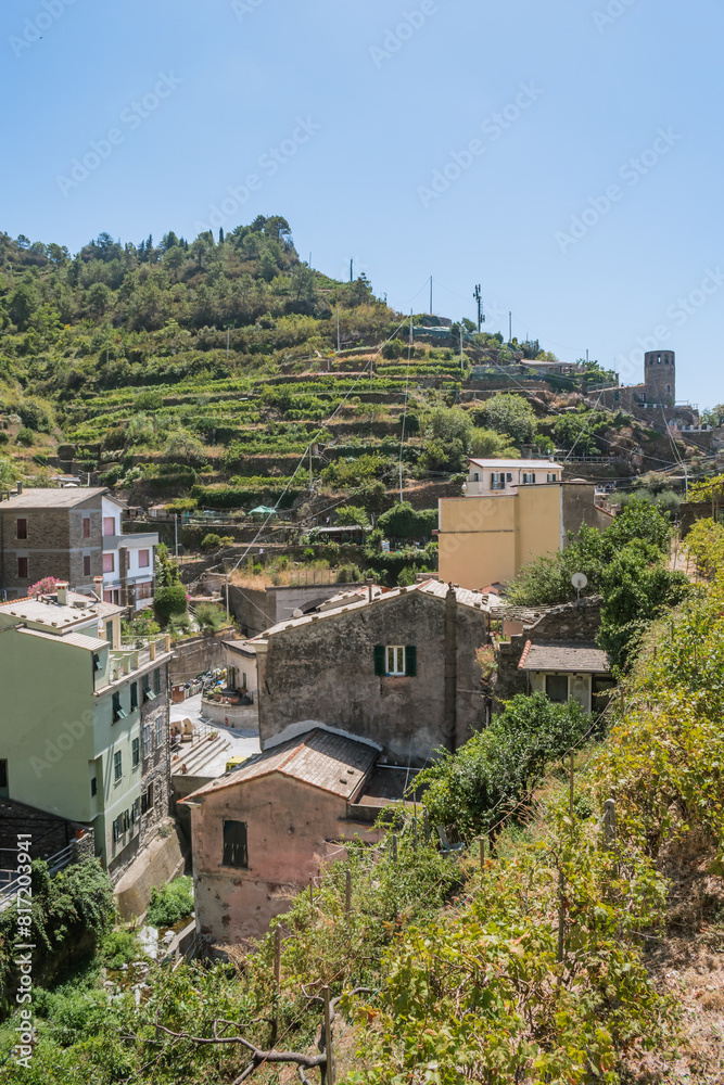 Hill with vineyards and houses in the valley and tower in the background, Cinque Terre - Vernazza ITALY