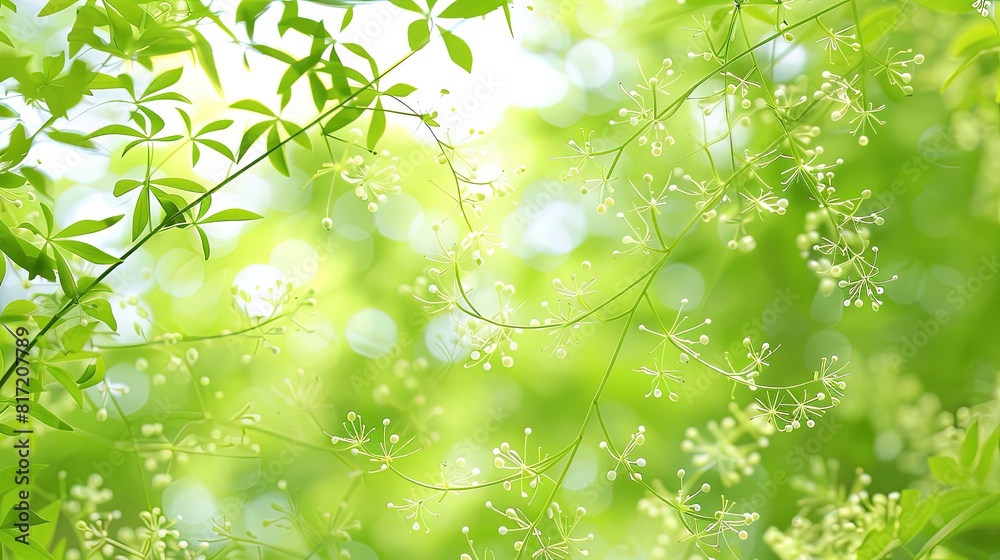 Serene Nature Scene with Leaves and Flowers Serene Nature Scene with Leaves and Flowers
