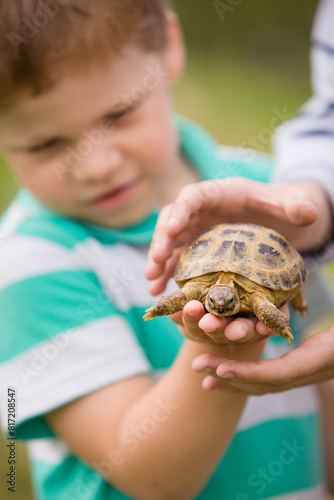 Small kid boy holding a little turtle in his hands. Caring attitude to animals. tortoise in child's hands.outdoor. Careful attitude with pets.