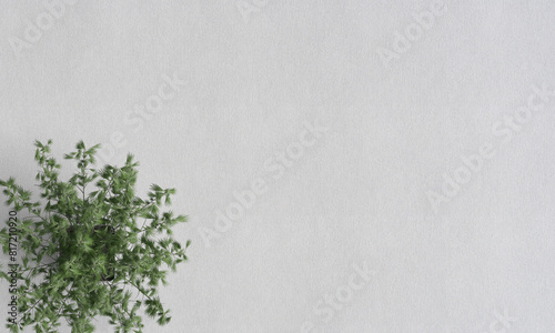 Willow Whispers white paperen Texture Wallpaper photo